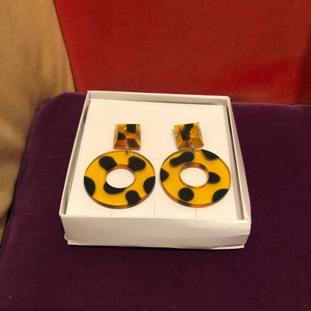 Transparent earrings